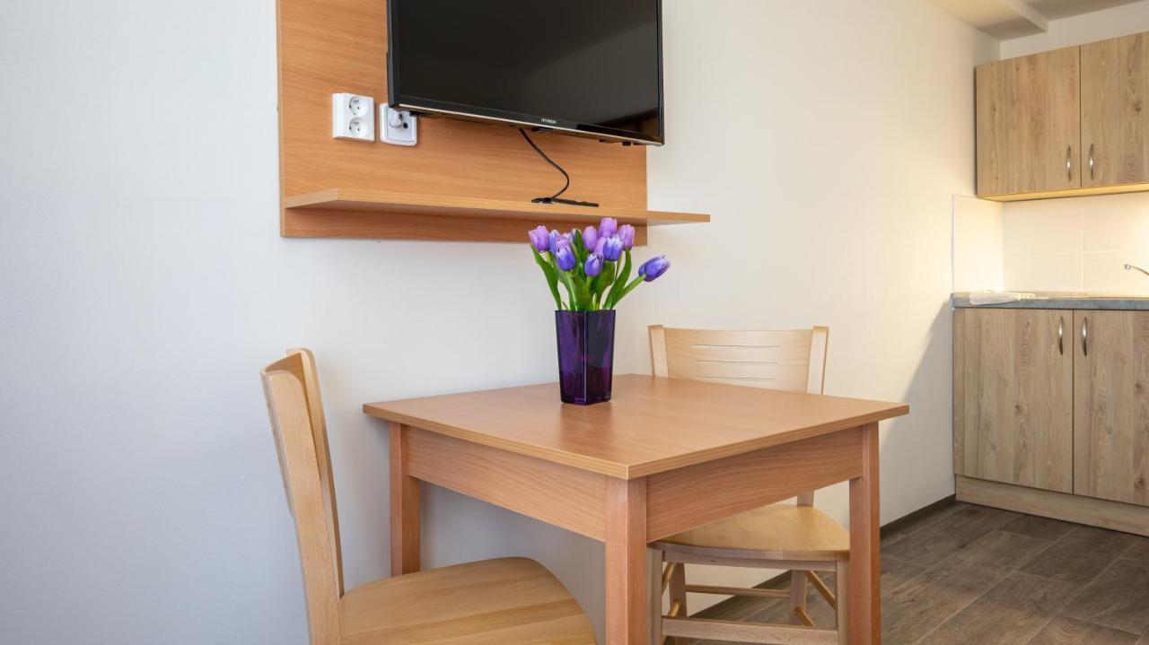 Apartmány a Studia Zámecký park Litvínov Esterno foto