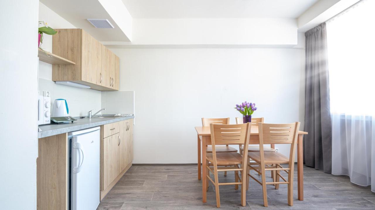 Apartmány a Studia Zámecký park Litvínov Esterno foto