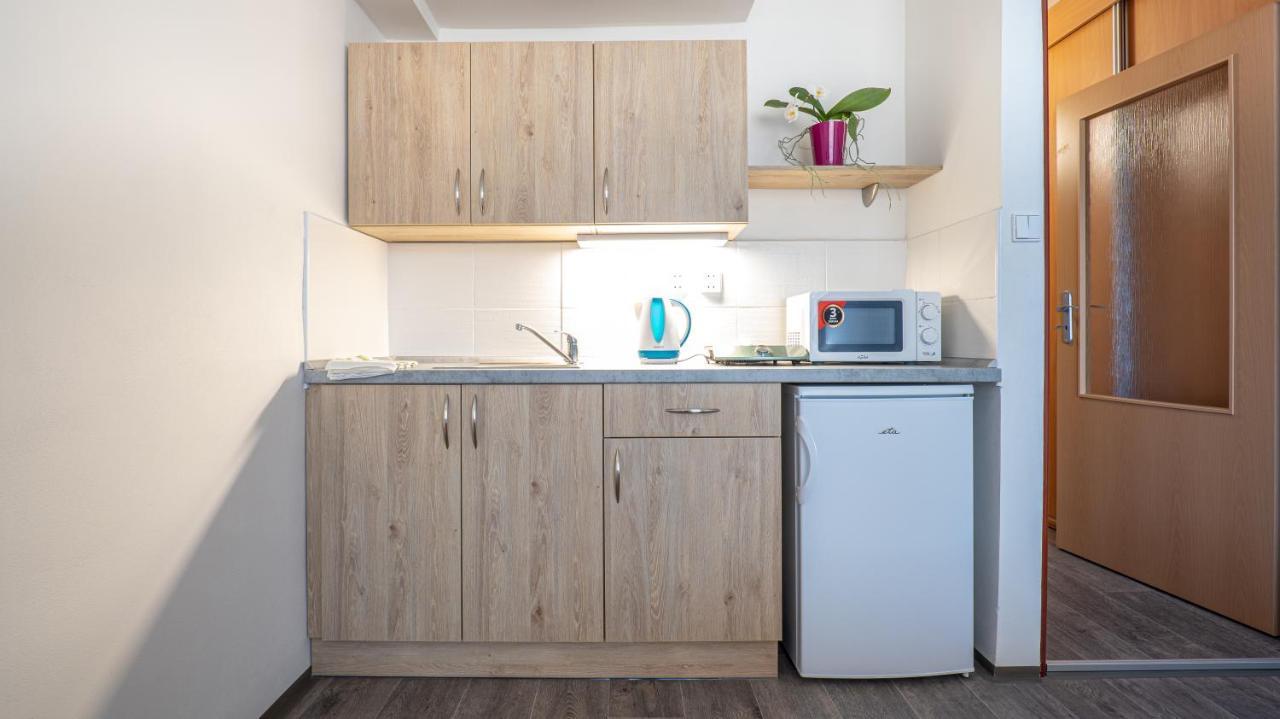 Apartmány a Studia Zámecký park Litvínov Esterno foto
